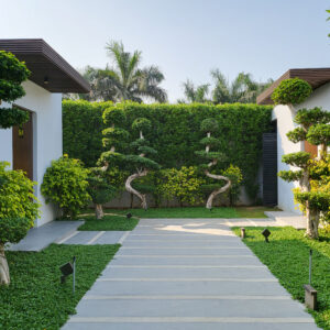 LANDSCAPE & PET CONSULTANCY