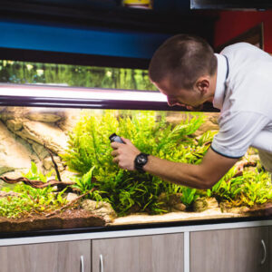 Fish Tank Maintenance Experts
