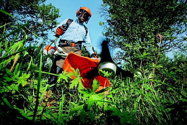 garden, grass cutter, gardening