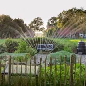A peaceful garden scene with crops being irrigated by a sprinkler system during daylight.