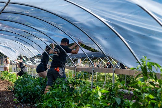 Workers set up a greenhouse tunnel on a farm, preparing for plant growth.