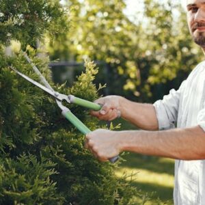 Man using pruners to cut branches in a lush green garden during the day.