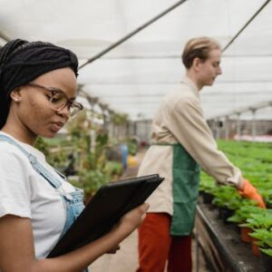 Two people engaged in plant care and technology in a greenhouse setting.